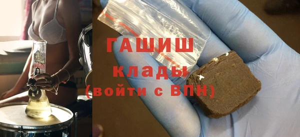 индика Новозыбков