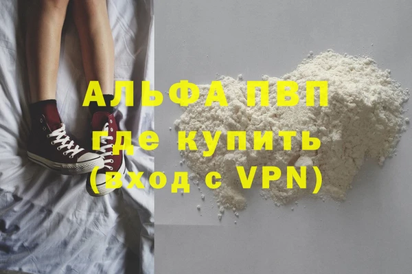 стаф Карпинск