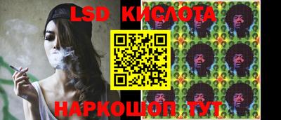 гидропоника Донской