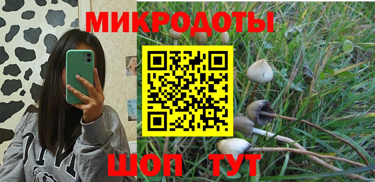 Псилоцибиновые грибы Cubensis Орск