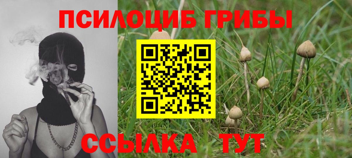Галлюциногенные грибы мицелий  Орск  Псилоцибиновые грибы Psilocybe 