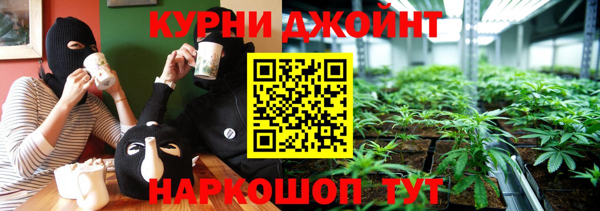 Бошки Шишки ГИДРОПОН  Шишки марихуана план  МАРИХУАНА SATIVA & INDICA  Бошки марихуана SATIVA & INDICA  Орск  Вход с VPN 