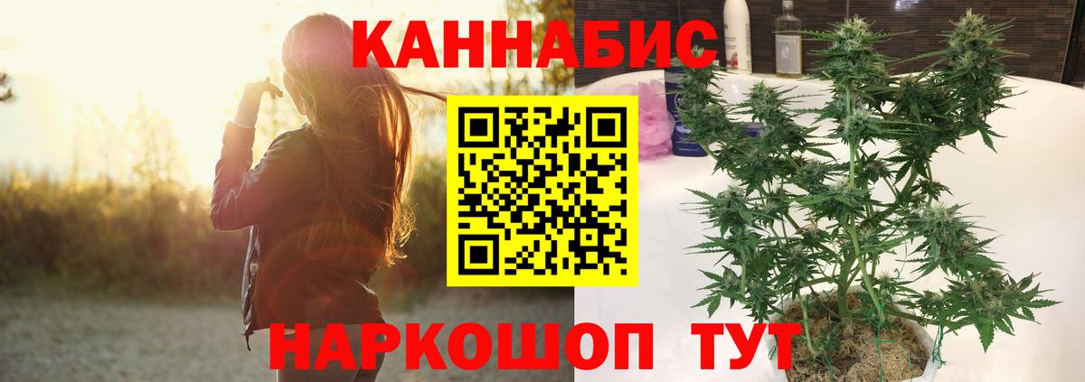 Бошки Шишки сатива Орск